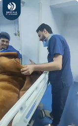 الم بالركبة